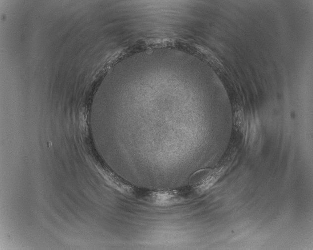 X0000069800662200605221141