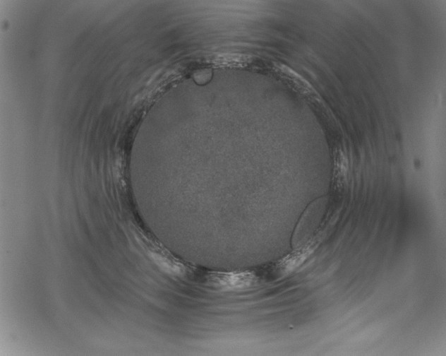 X0000069800663200605221141