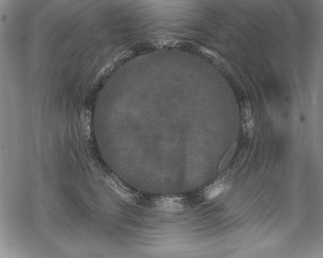 X0000069800664200605221141