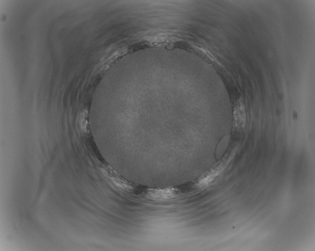 X0000069800671200605221141