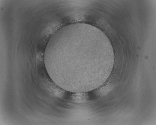 X0000069800672200605221141