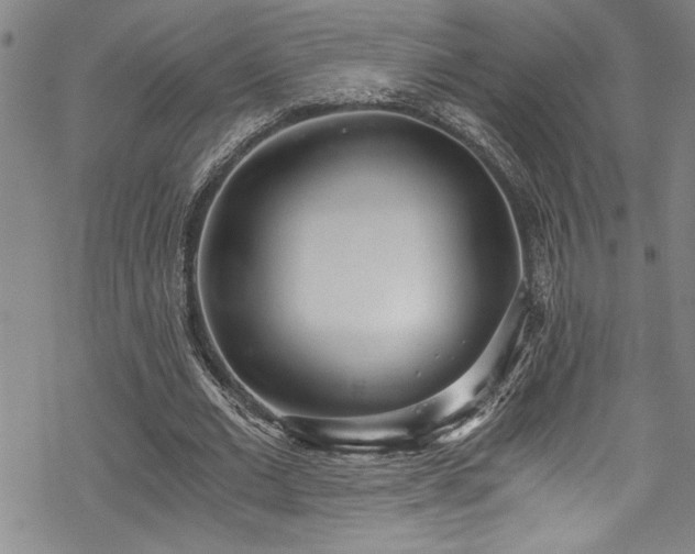X0000069800677200605221140