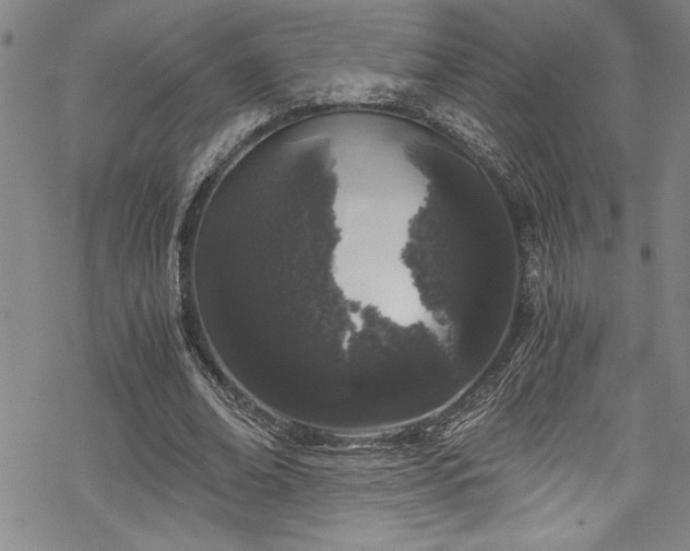 X0000069800678200605221140