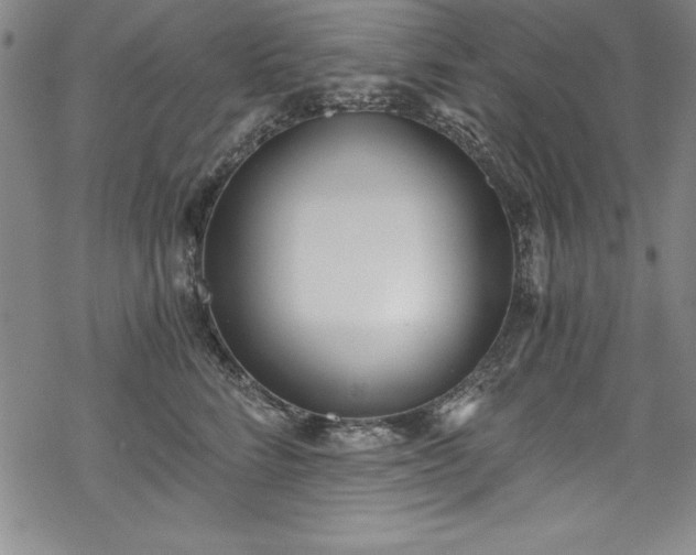 X0000069800712200605221139