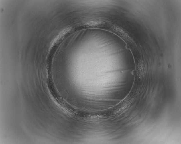 X0000069800734200605221139