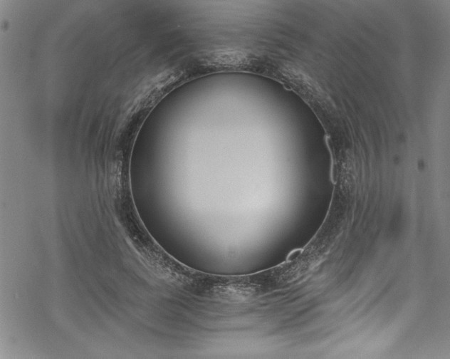 X0000069800739200605221139