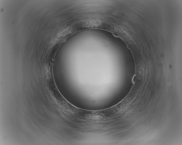X0000069800743200605221139