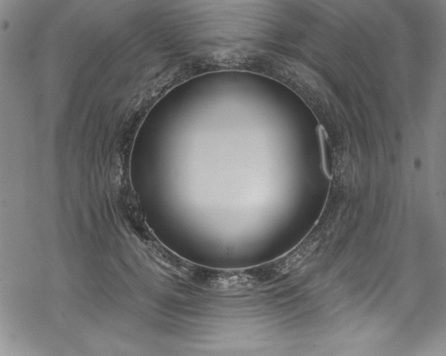 X0000069800752200605221139