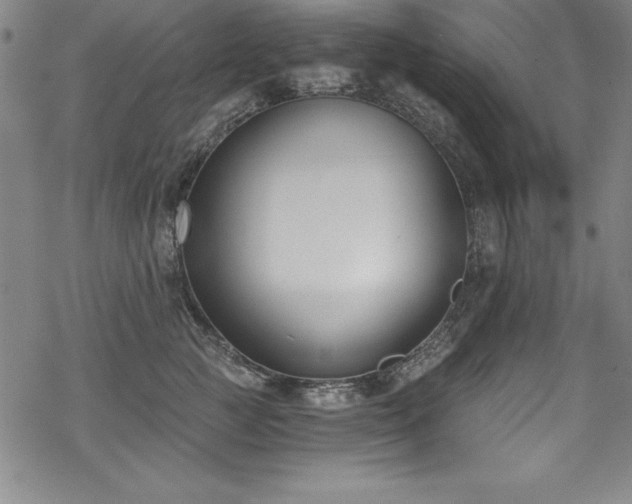 X0000069800761200605221139