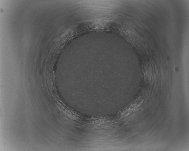 X0000069800769200605221139