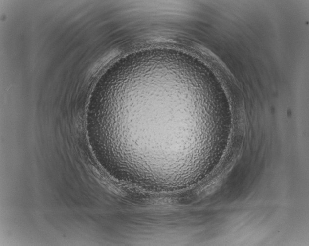 X0000069800785200605221138