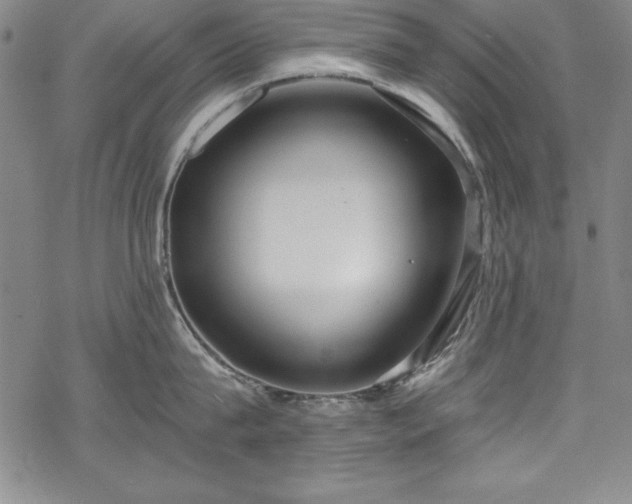 X0000069800815200605221138