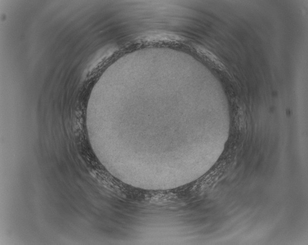 X0000069800824200605221137