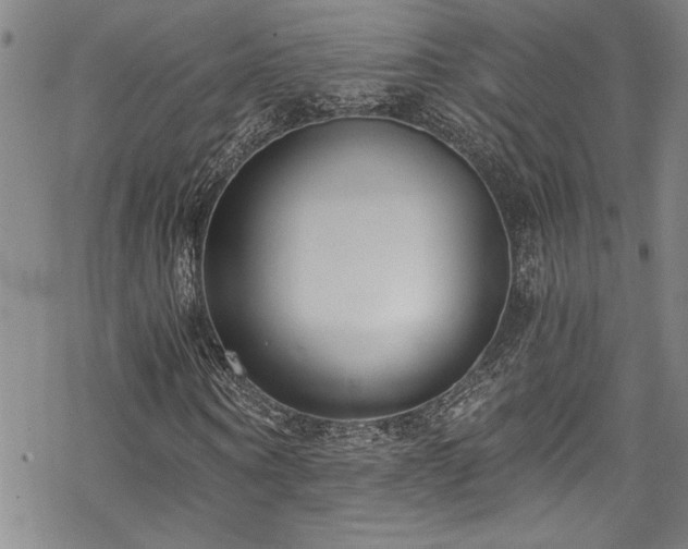 X0000069800866200605221137