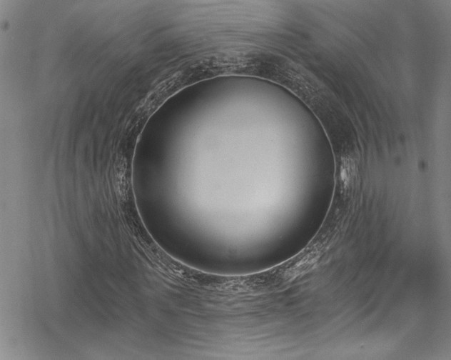 X0000069800867200605221137