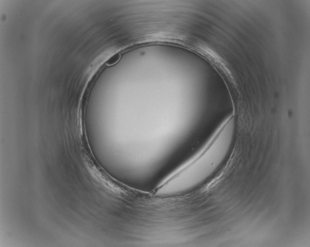 X0000069800892200605221137