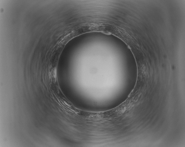 X0000069800914200605221136