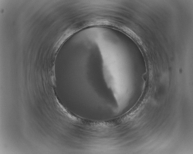 X0000069800945200605221136