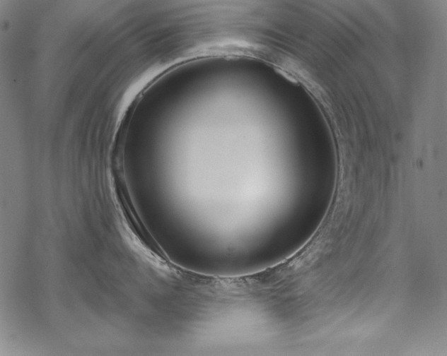 X0000069800960200605221136