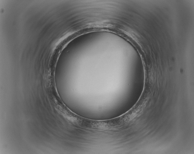 X0000069800971200605221135