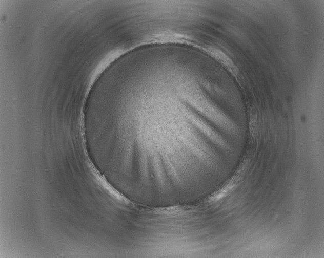 X0000069800990200605221135