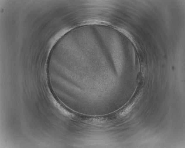 X0000069800995200605221135