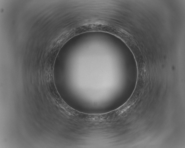 X0000069801014200605221134