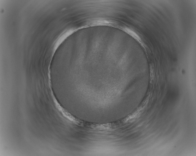 X0000069801047200605221135