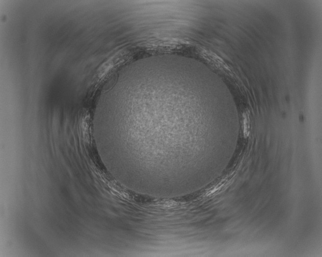 X0000069801059200605221134