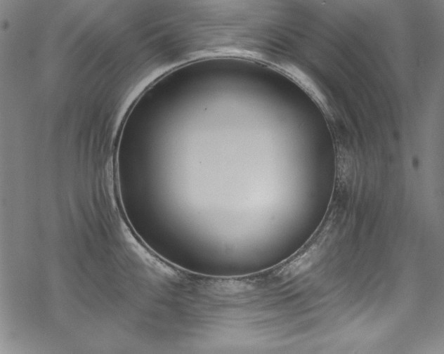 X0000069801100200605221133