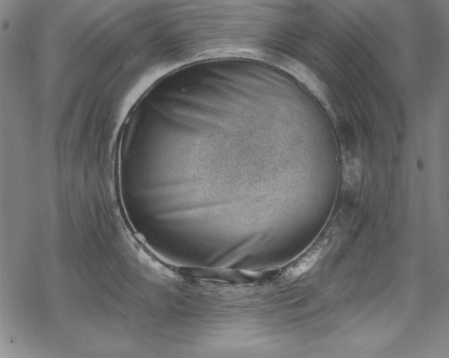 X0000069801102200605221133