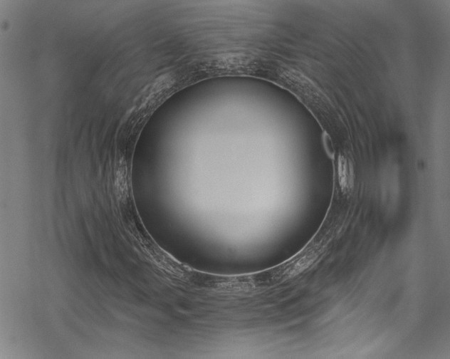 X0000069801107200605221132