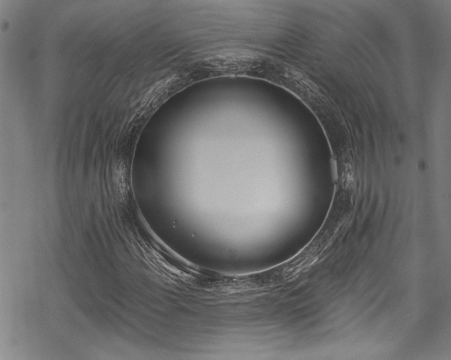 X0000069801108200605221132