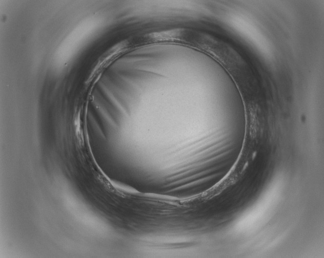 X0000069801198200605221132
