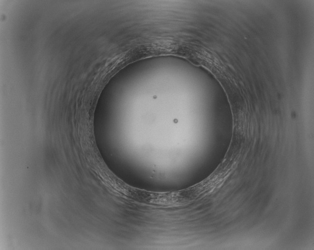X0000069801201200605221131