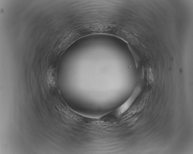 X0000069801202200605221131