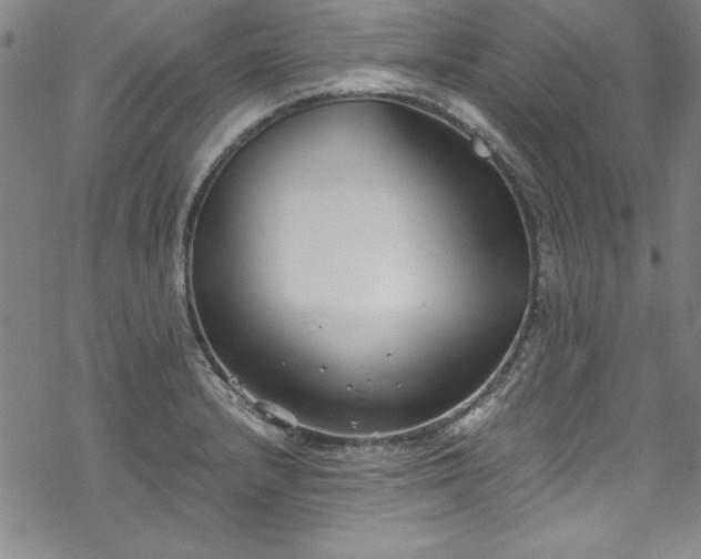 X0000069801232200605221131