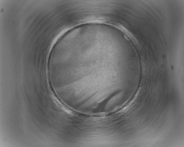 X0000069801240200605221131