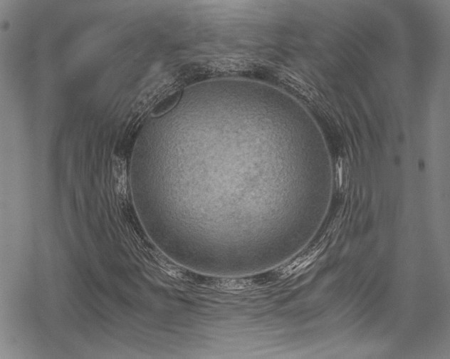 X0000069801251200605221131