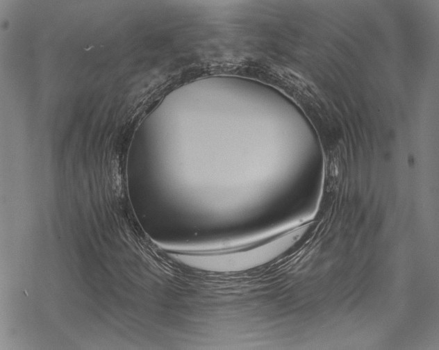 X0000069801252200605221131