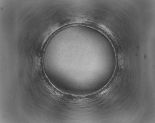 X0000069801260200605221131