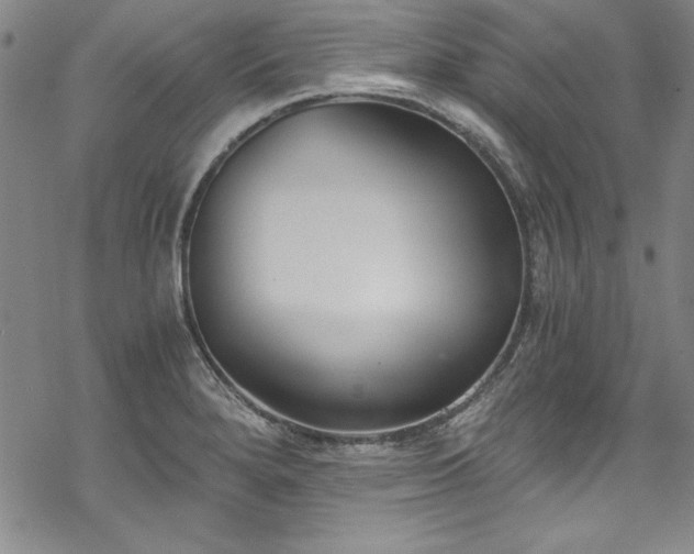 X0000069801280200605221130
