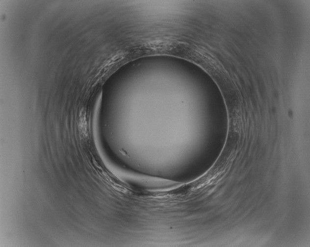 X0000069801298200605221129