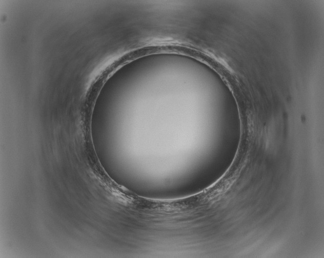 X0000069801311200605221129