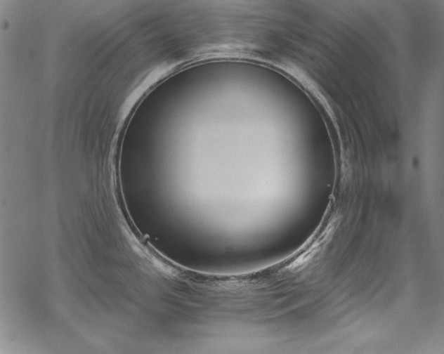 X0000069801341200605221130