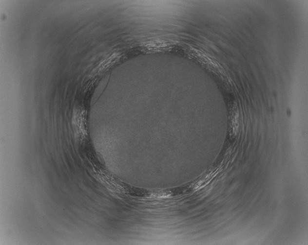 X0000069801346200605221129