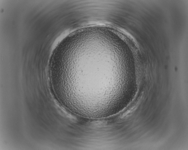 X0000069801373200605221129