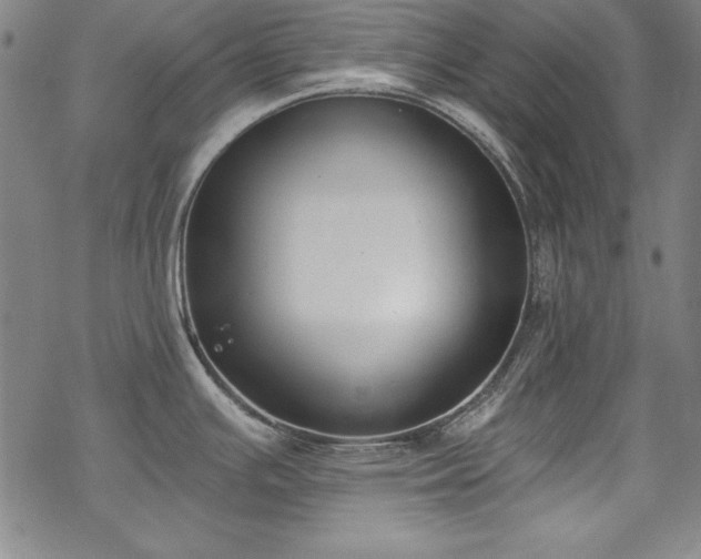 X0000069801391200605221128