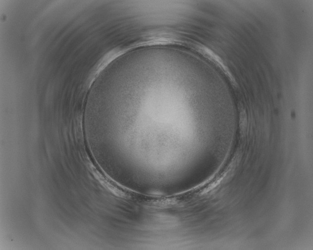X0000069801417200605221128