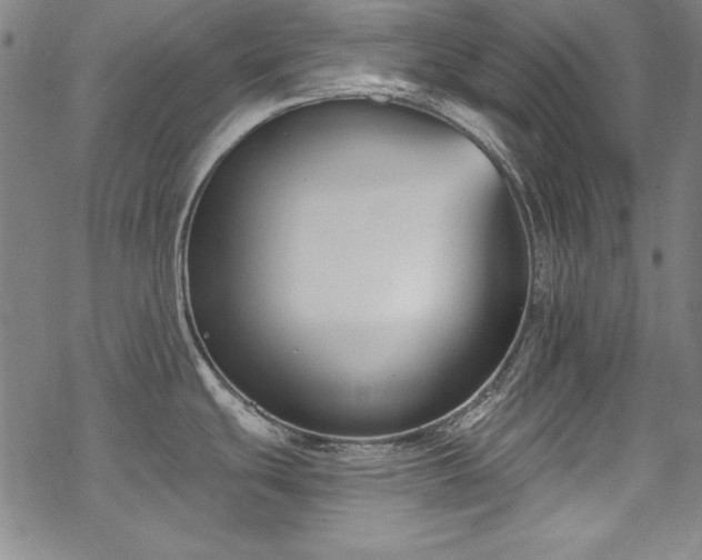 X0000069801439200605221128